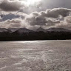 Meet your Posher, Dan